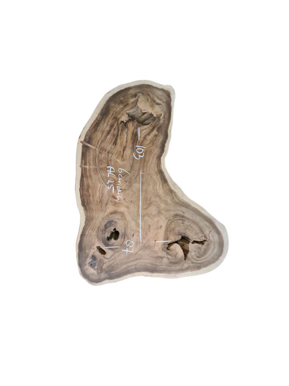 Creatieve op maat gemaakte suar boomstam salontafel