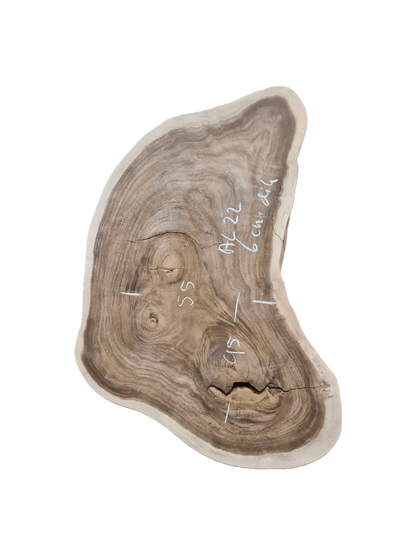 Suar boomstam salontafel unieke vormen